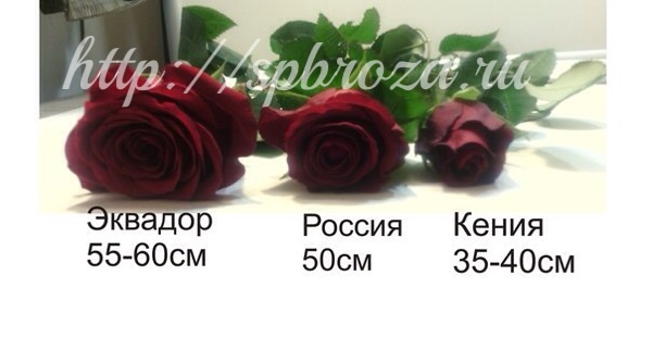 Кенийские розы 40 см